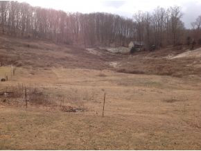 293 Coal Chute Road Elizabethton, TN 37643 - Photo 13 of 15 10 gorgeous acres with pasture