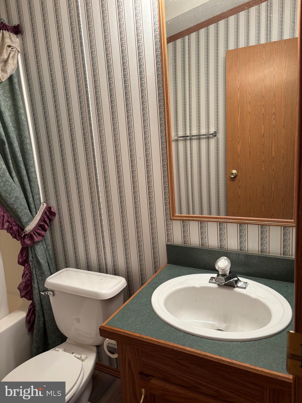 3825 Dickenson Mountain Road Franklin, WV 26807 - Photo 15 of 32 a bathroom with a sink a toilet and mirror