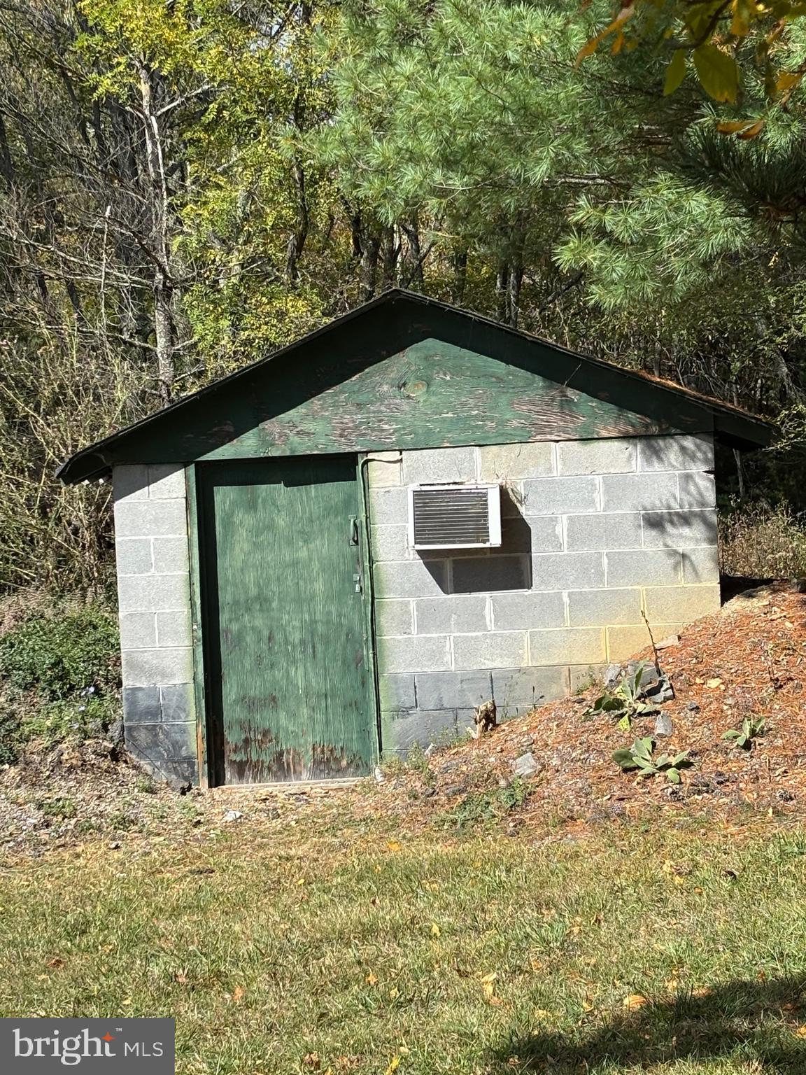 3825 Dickenson Mountain Road Franklin, WV 26807 - Photo 27 of 32 a view of backyard of the house