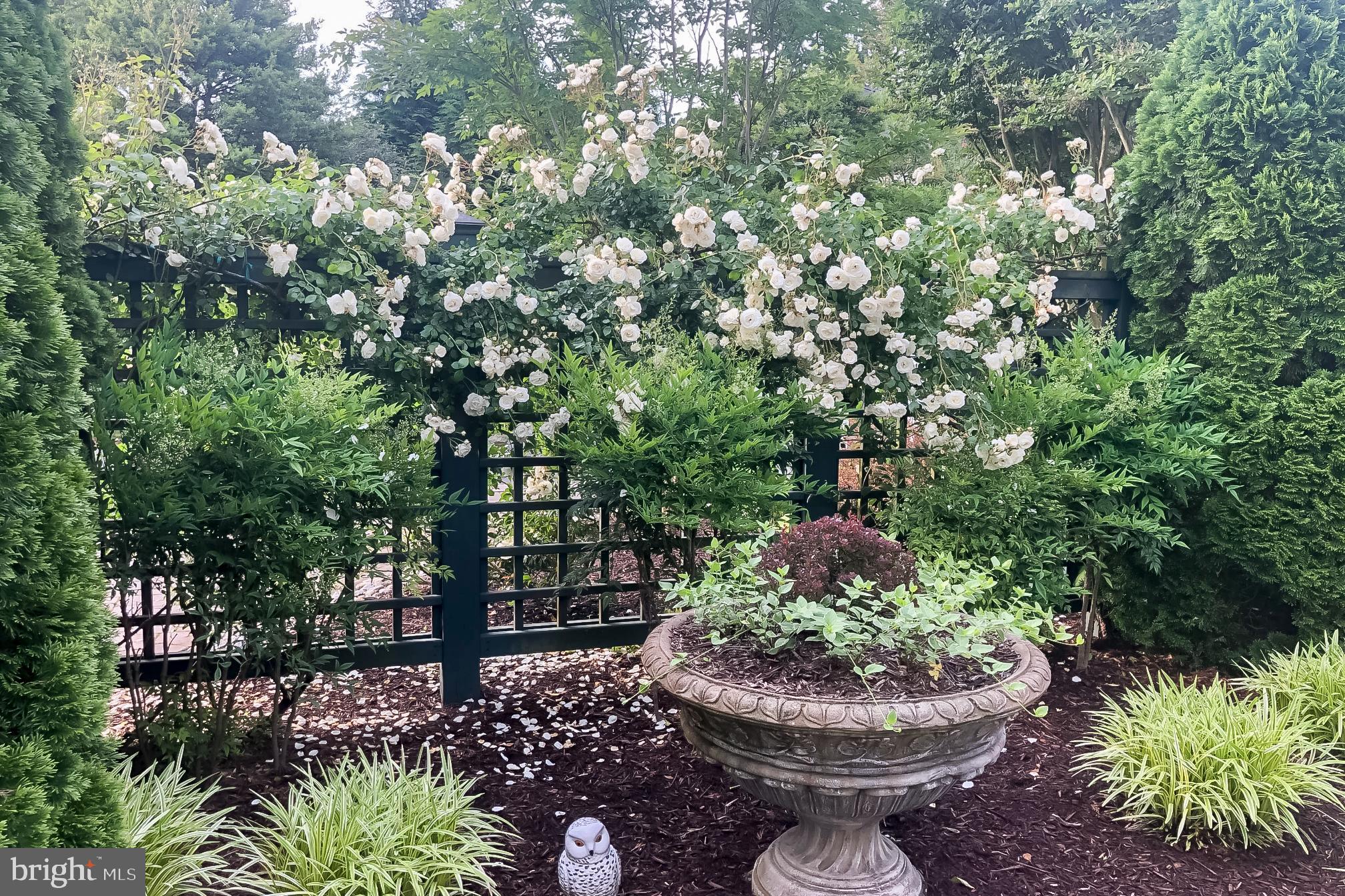 10 Carvel Road Annapolis, MD 21409 - Photo 7 of 88