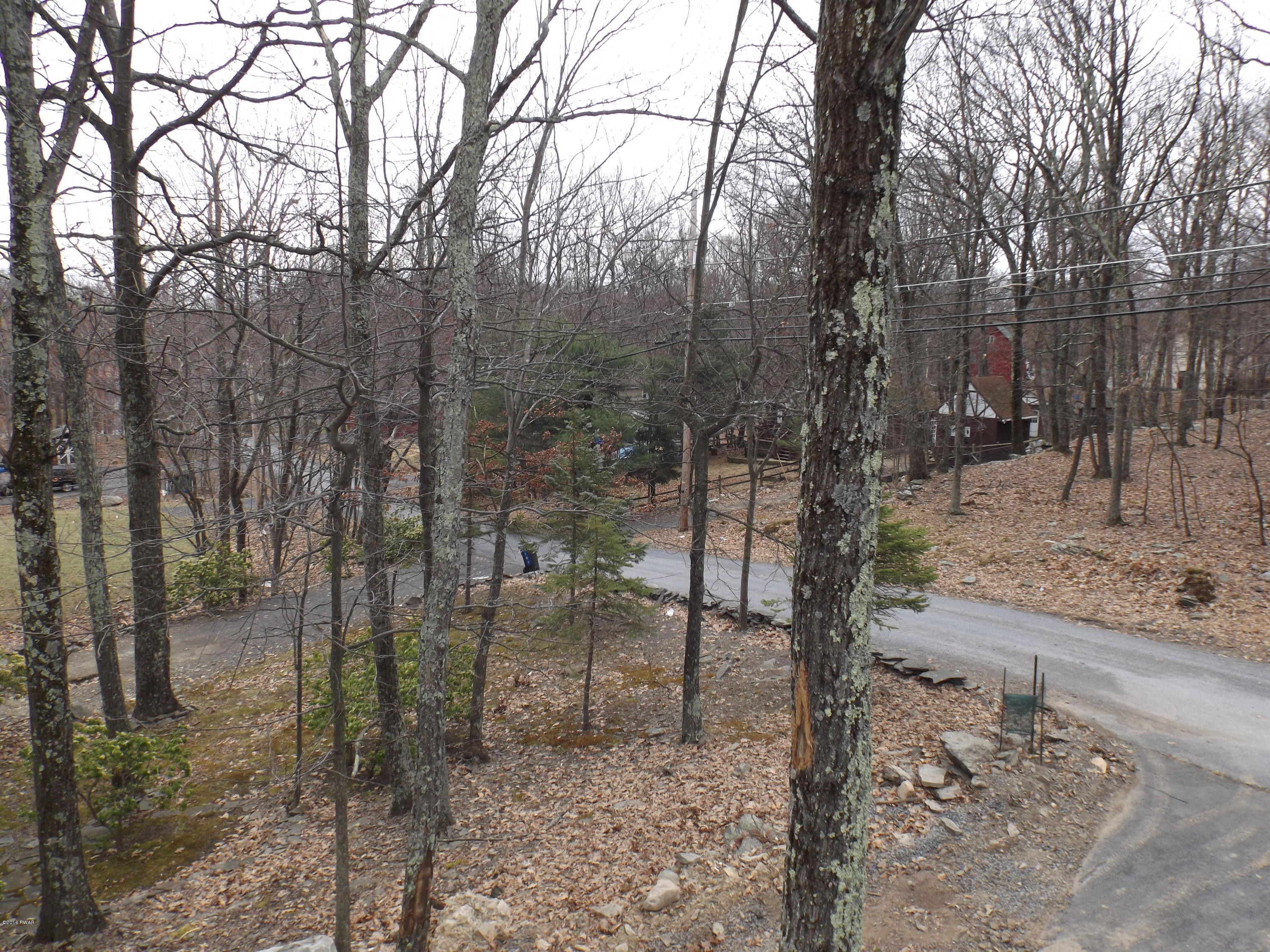 109 Keystone Court Dingmans Ferry, PA 18328 - Photo 16 of 18 a view of a forest filled with trees