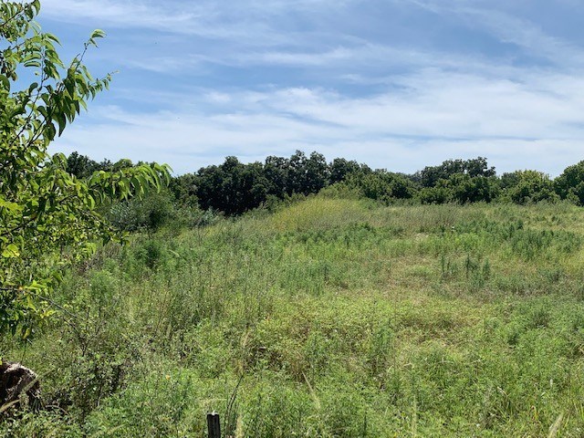 0 South Junction Highway Ingram, TX 78025 - Photo 5 of 18