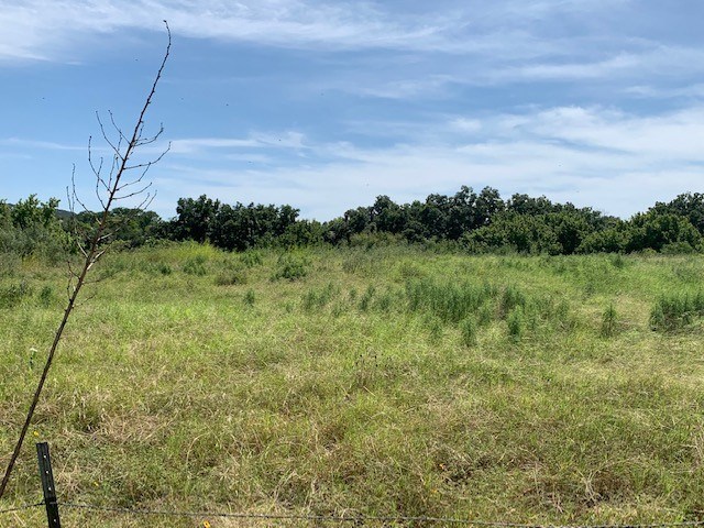 0 South Junction Highway Ingram, TX 78025 - Photo 7 of 18