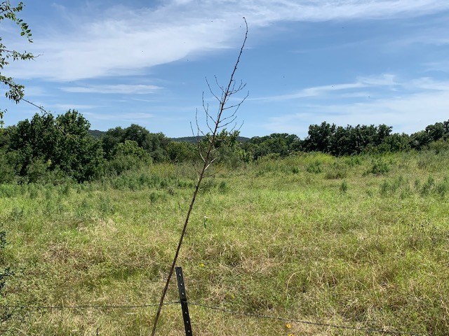 0 South Junction Highway Ingram, TX 78025 - Photo 8 of 18