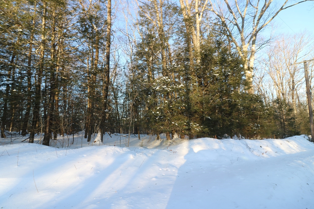 35 Ladd Road Sturbridge, MA 01566 - Photo 3 of 7 a view of outdoor space and yard