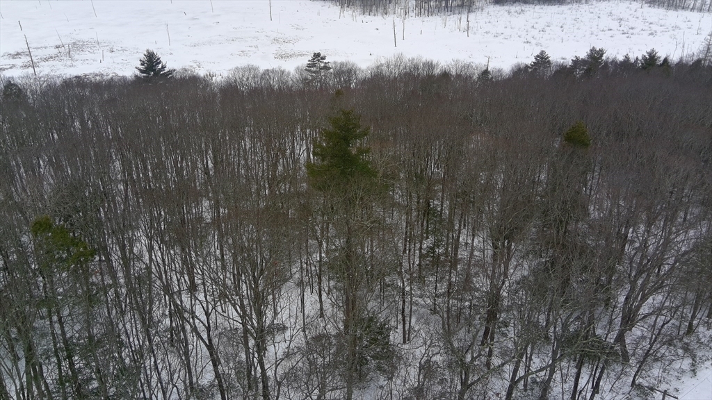 35 Ladd Road Sturbridge, MA 01566 - Photo 5 of 7