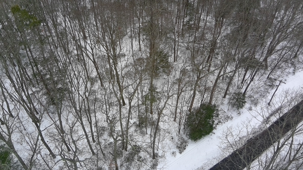 35 Ladd Road Sturbridge, MA 01566 - Photo 7 of 7 a backyard of a house with lots of green space