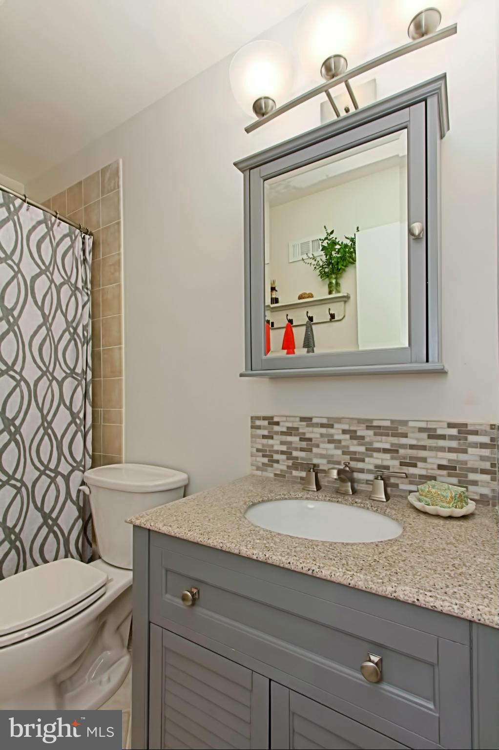 1745 Ivy Oak Square Reston, VA 20190 - Photo 26 of 30 Full Bathroom 2 of 2
