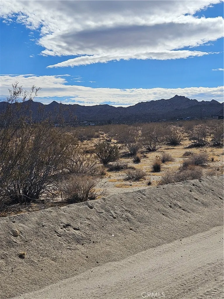 0 California Joshua Tree, CA 92252 - Photo 4 of 4 a view of lake with mountain