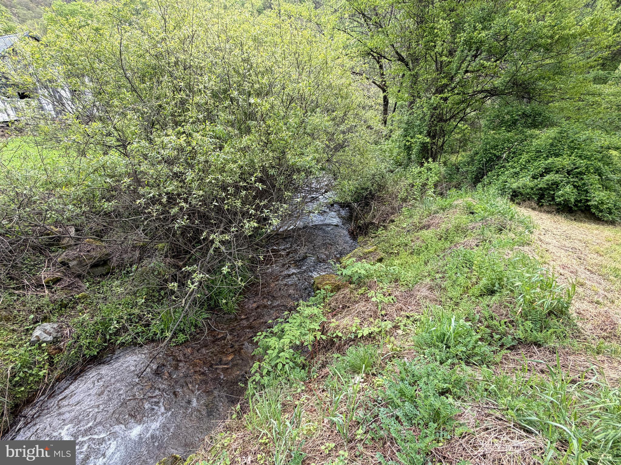 1227 Cross Fork Creek Road Cross Fork, PA 17729 - Photo 102 of 139