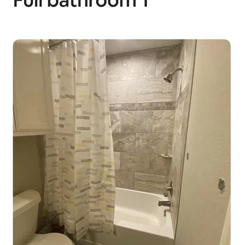 a bathroom with a shower and a toilet