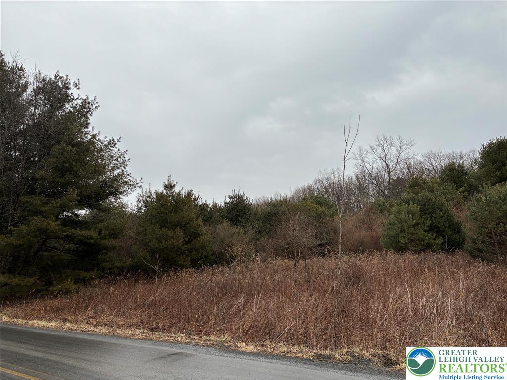 Erie Court Effort, PA 18330 - Photo 3 of 9