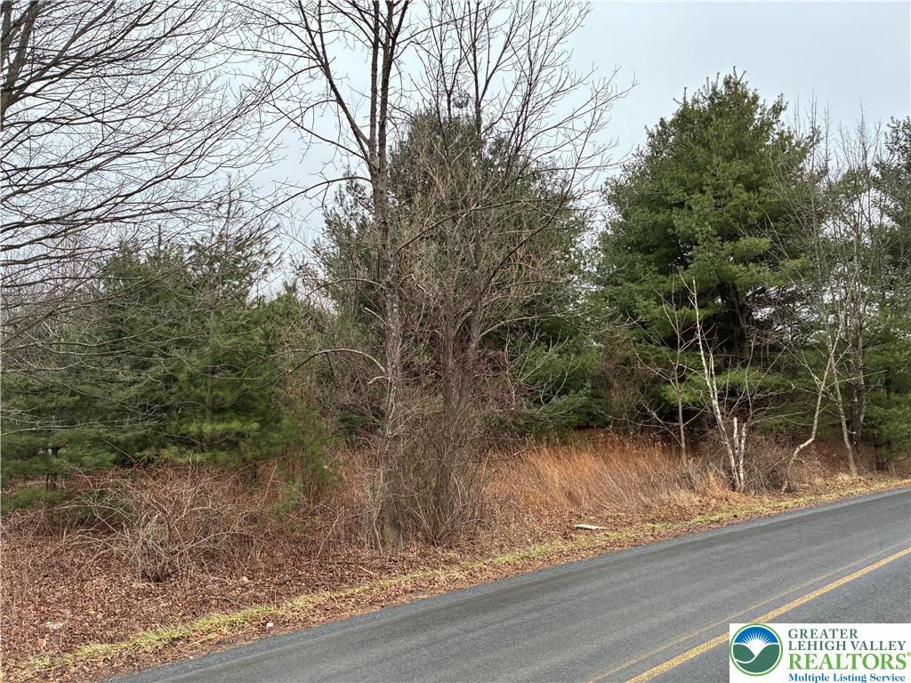 Erie Court Effort, PA 18330 - Photo 8 of 9