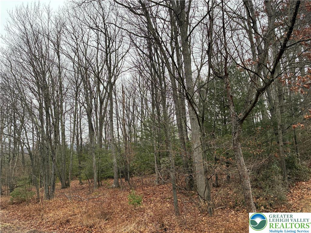 Erie Court Effort, PA 18330 - Photo 9 of 9