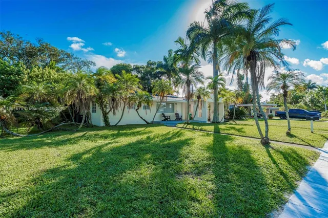 a view of a park with palm trees