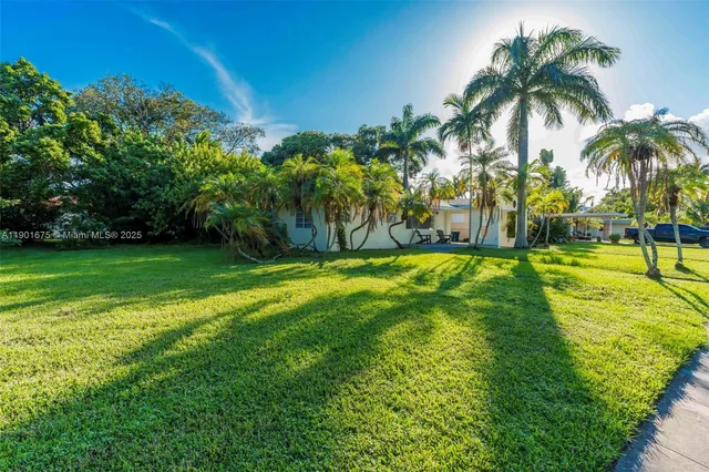 a view of a yard with palm trees