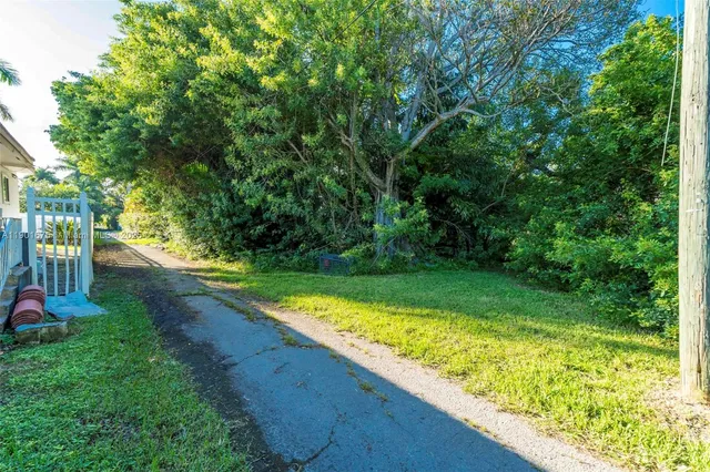 a view of a backyard with large trees
