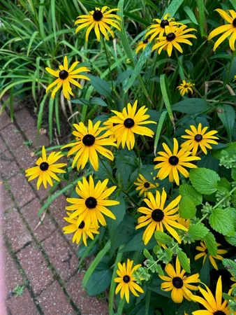 $950,000 | 147 Francis Horn Drive, South Kingstown, RI 02881