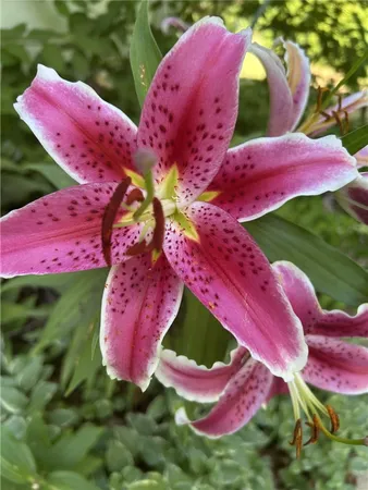 $950,000 | 147 Francis Horn Drive, South Kingstown, RI 02881