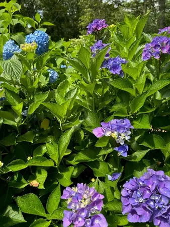 $950,000 | 147 Francis Horn Drive, South Kingstown, RI 02881