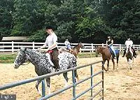 $100,000 | 905 Eastover Parkway, Locust Grove, VA 22508