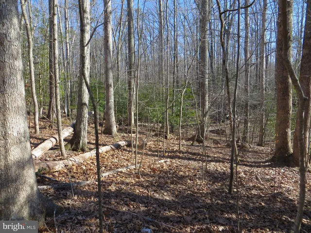 $100,000 | 905 Eastover Parkway, Locust Grove, VA 22508