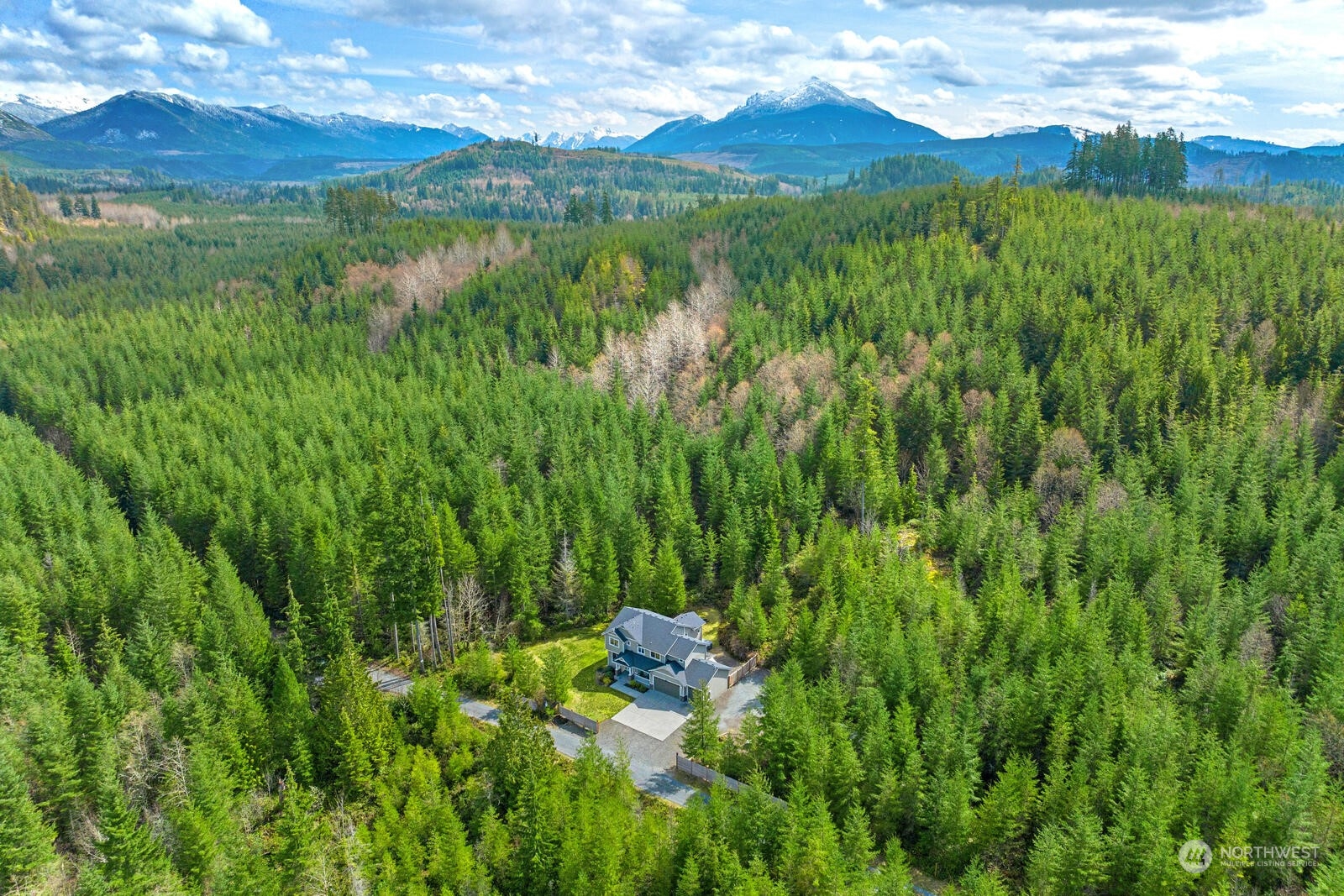 18610 Russian Road Arlington, WA 98223 - Photo 37 of 40 a view of a lush green forest with lots of trees