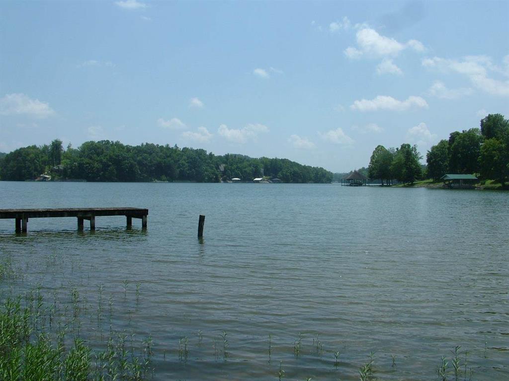 Lot 76 Toestring Cove Rd Spring Spring City, TN 37381 - Photo 1 of 11 2