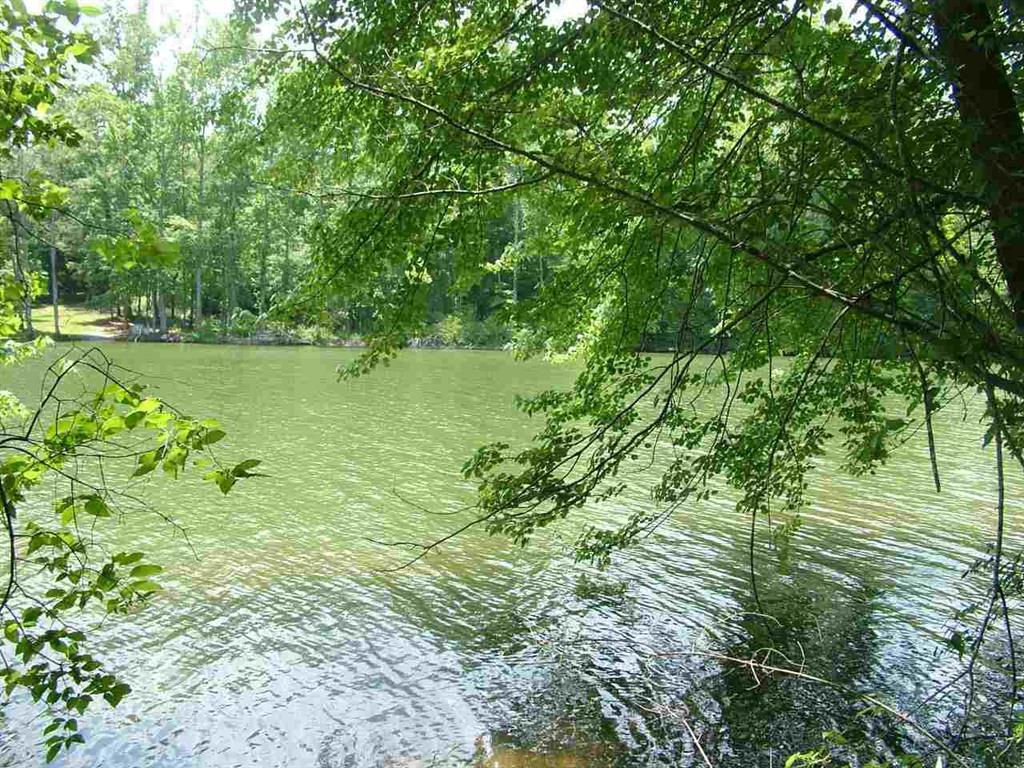 Lot 76 Toestring Cove Rd Spring Spring City, TN 37381 - Photo 2 of 11 3