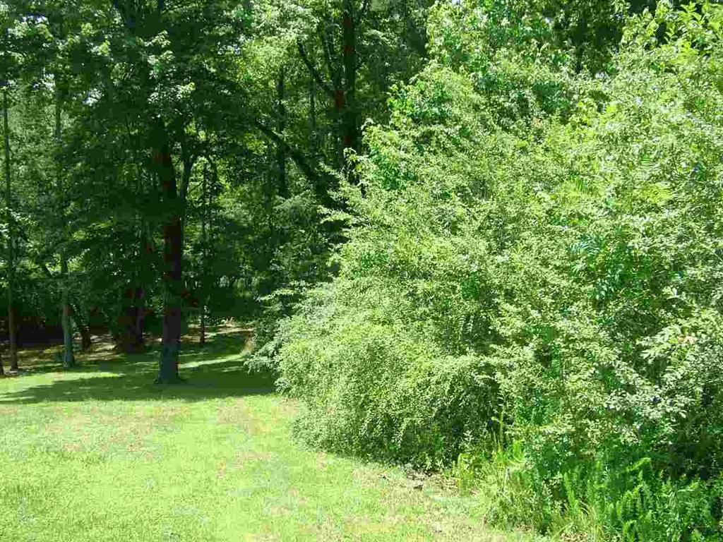 Lot 76 Toestring Cove Rd Spring Spring City, TN 37381 - Photo 11 of 11 12