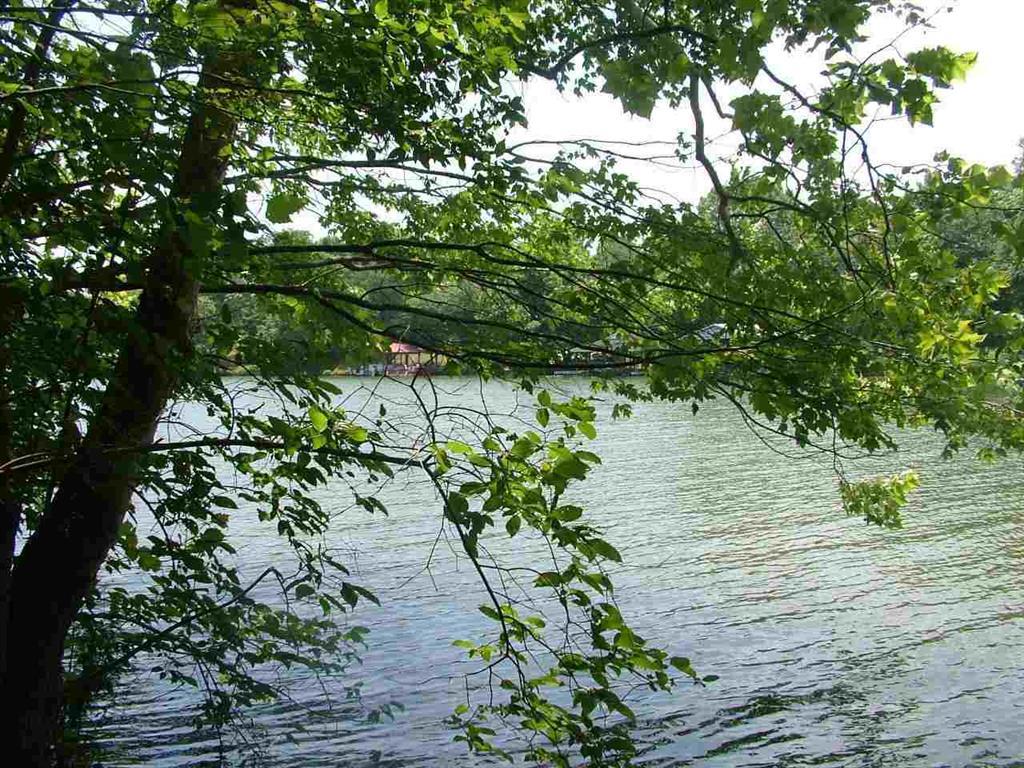 Lot 76 Toestring Cove Rd Spring Spring City, TN 37381 - Photo 5 of 11 6