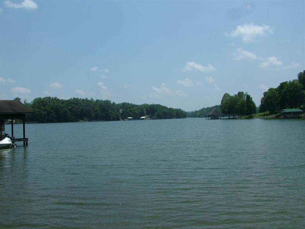 Lot 76 Toestring Cove Rd Spring Spring City, TN 37381 - Photo 8 of 11 9