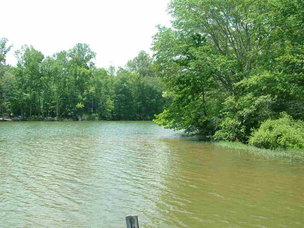 Lot 76 Toestring Cove Rd Spring Spring City, TN 37381 - Photo 9 of 11 10