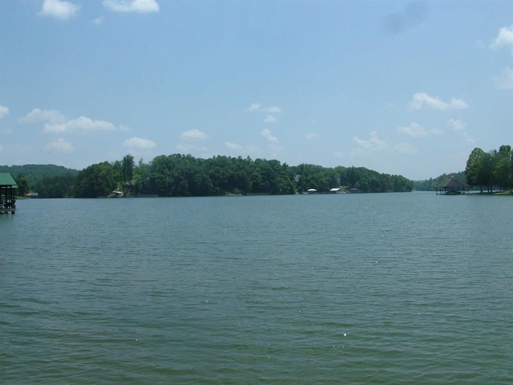 Lot 76 Toestring Cove Rd Spring Spring City, TN 37381 - Photo 10 of 11 11