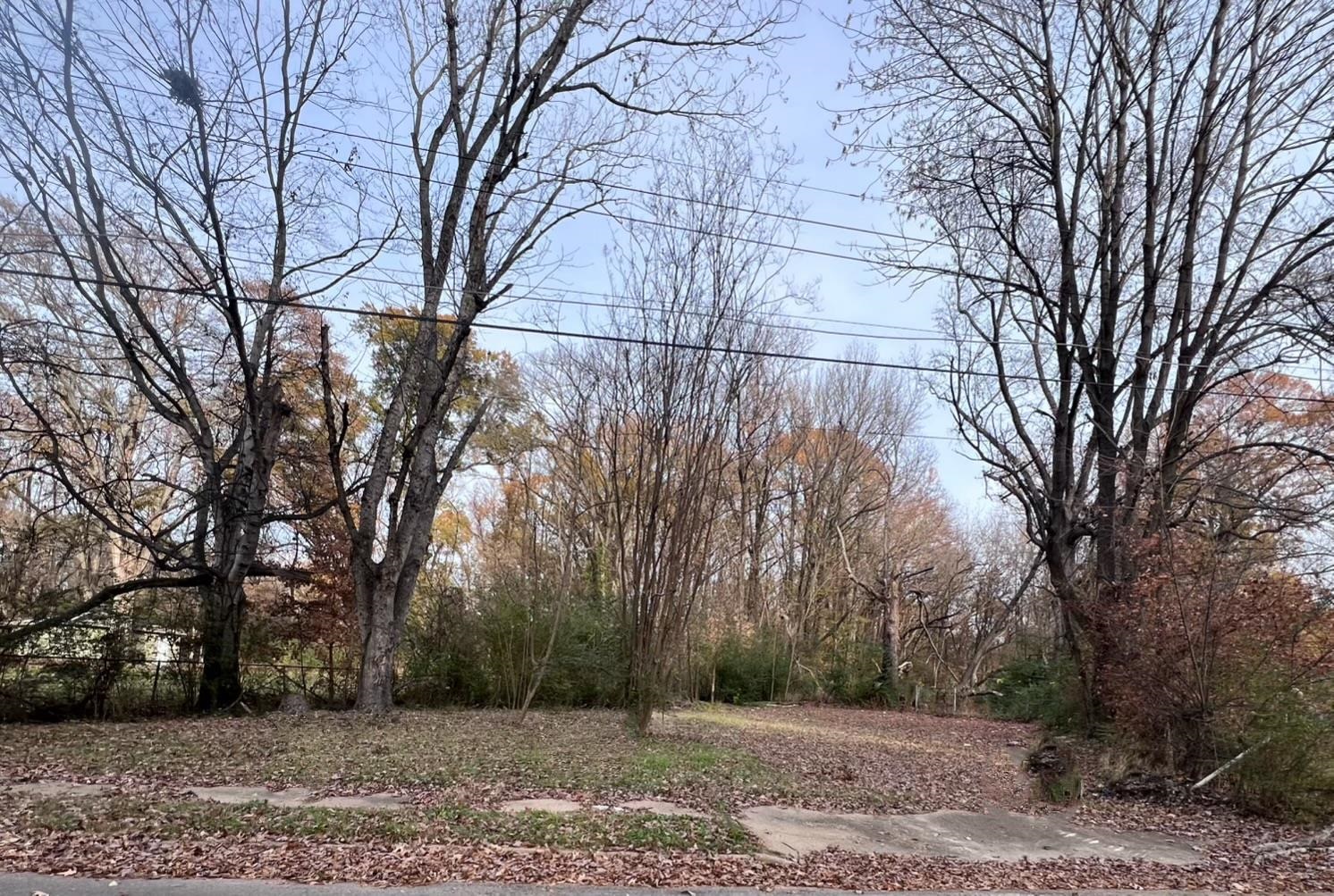 a view of a yard with a house and trees