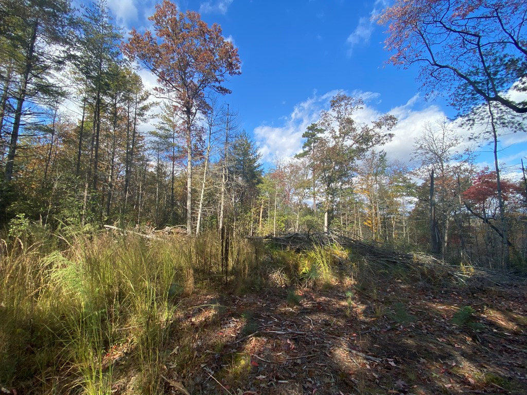 Lot 72 Rainy Farm Road Murphy, NC 28906 - Photo 8 of 17