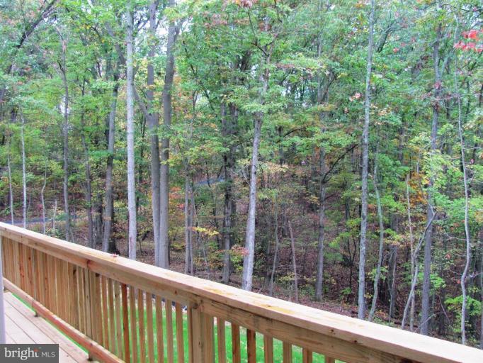 Hobbs Knob Road Front Royal, VA 22630 - Photo 6 of 13 Wooded View / Acreage