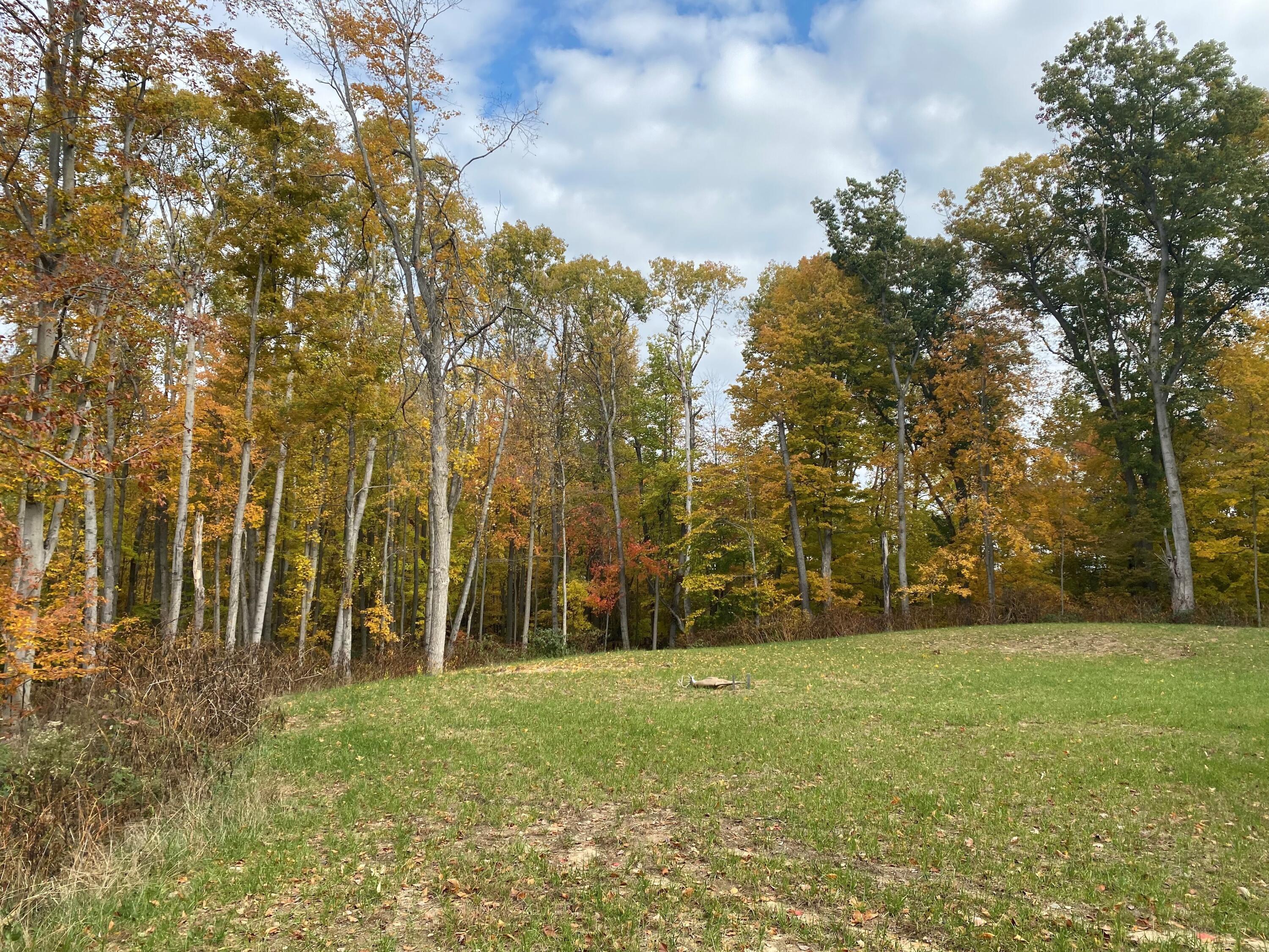 1242 Pifer Road Delton, MI 49046 - Photo 26 of 29 26