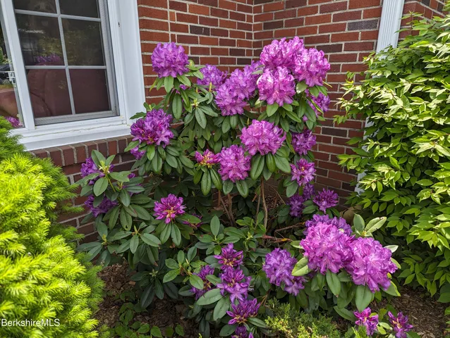 $360,000 | 135 Allengate Avenue, Pittsfield, MA 01201