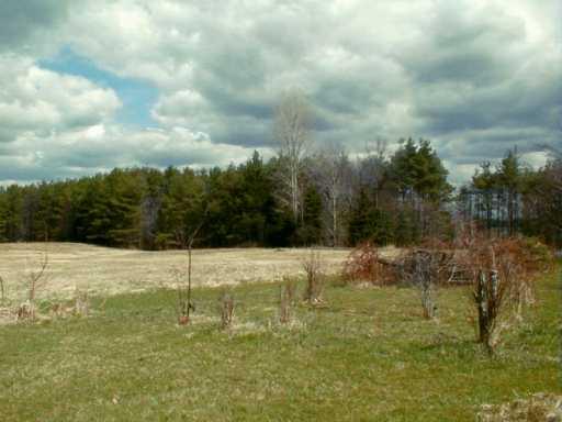 333 Fisher Road Stoneboro, PA 16153 - Photo 3 of 5