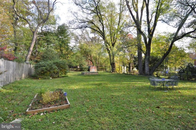 10003 Raynor Road Silver Spring, MD 20901 - Photo 8 of 28 a view of a backyard with large trees