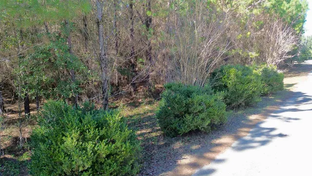 $75,000 | 200 Samanthas Lane, Monticello, FL 32344