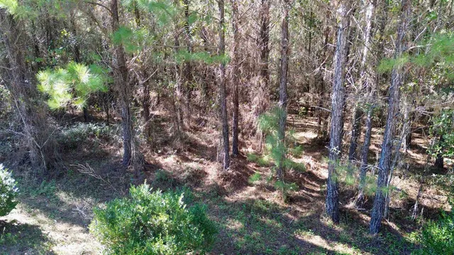 $75,000 | 200 Samanthas Lane, Monticello, FL 32344