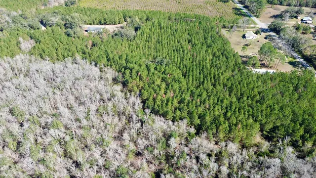 $75,000 | 200 Samanthas Lane, Monticello, FL 32344