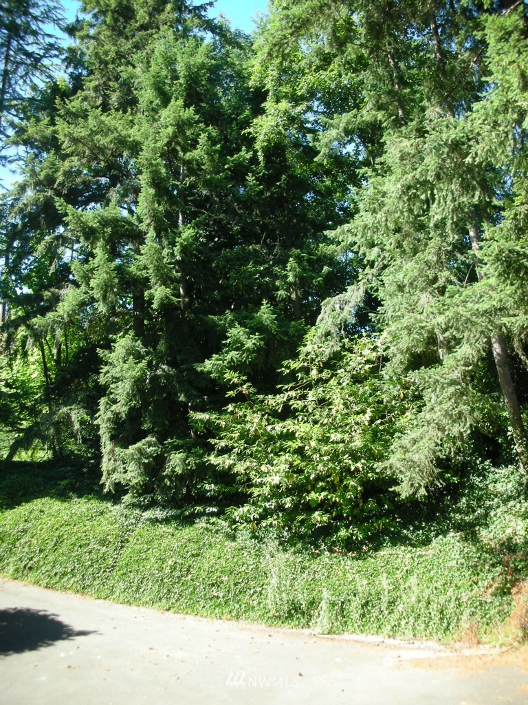 16844 Sylvester Road Southwest Normandy Park, WA 98166 - Photo 13 of 15 Gallery Image 13