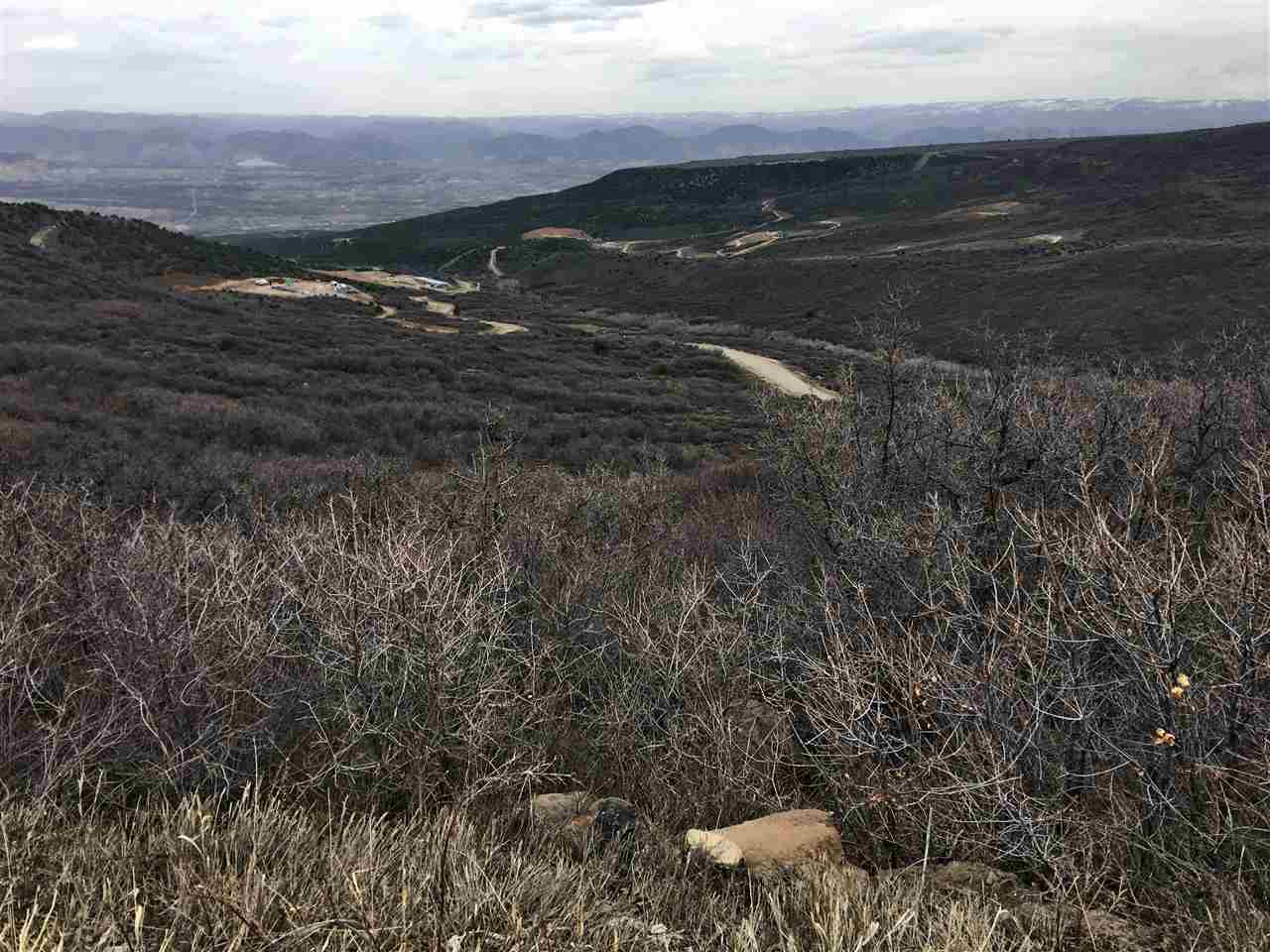 Tbd Tbd Beaver Creek Rifle, CO 81650 - Photo 3 of 11 Gallery Image 3