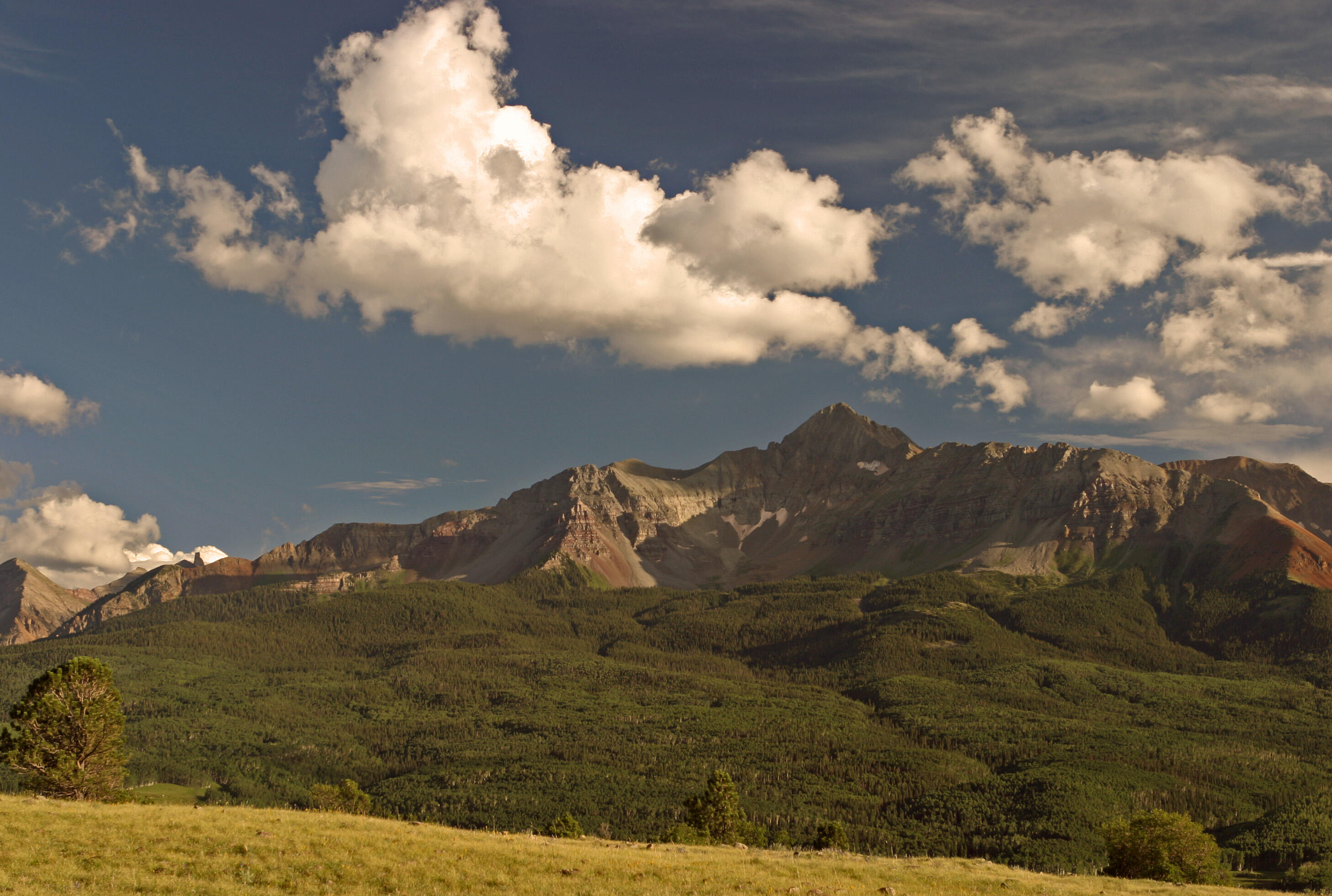 2728 Sound Of Music Lane Placerville, CO 81430 - Photo 12 of 28 Wilson View 4