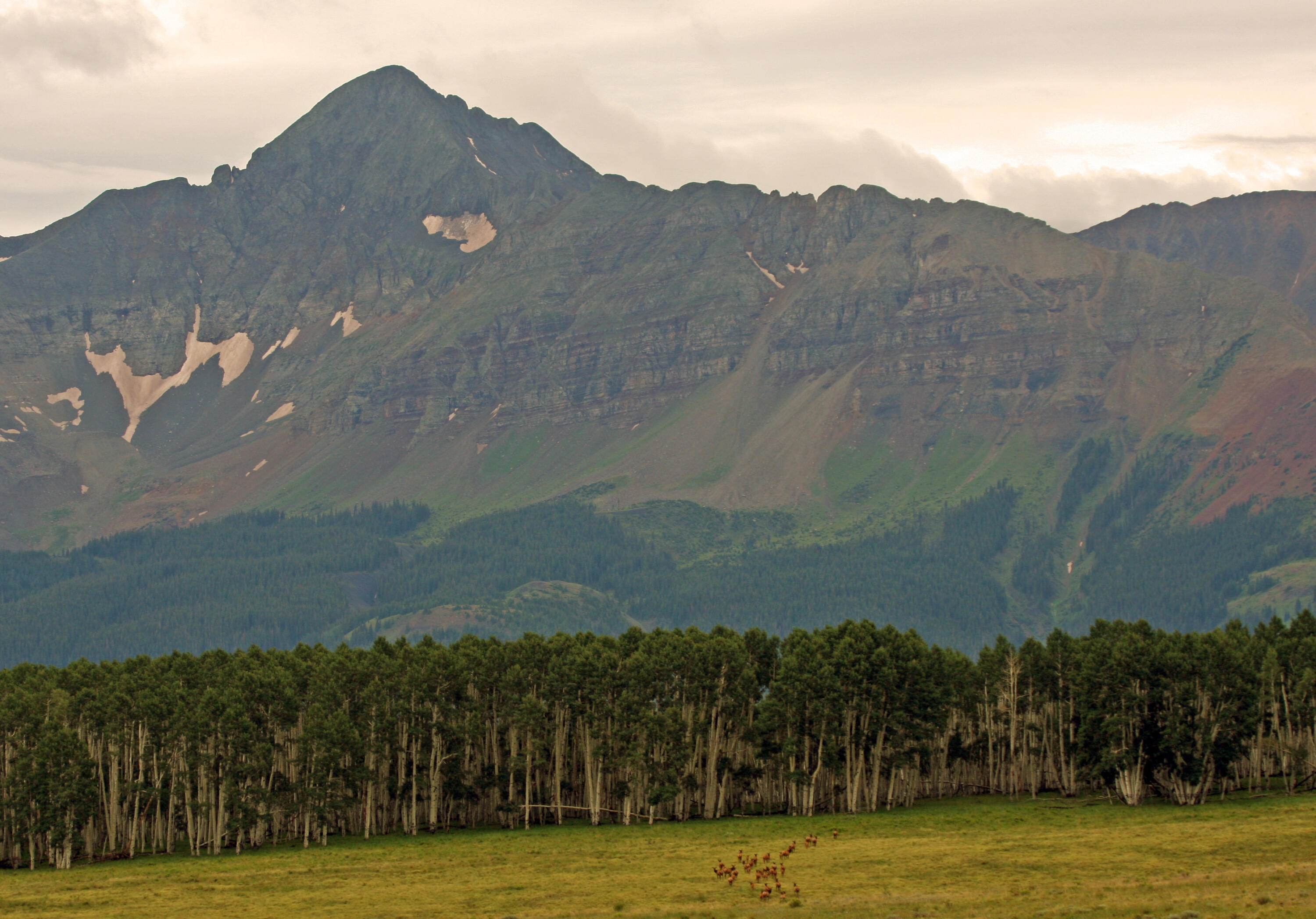 2728 Sound Of Music Lane Placerville, CO 81430 - Photo 13 of 28 Wilson Golden Hour