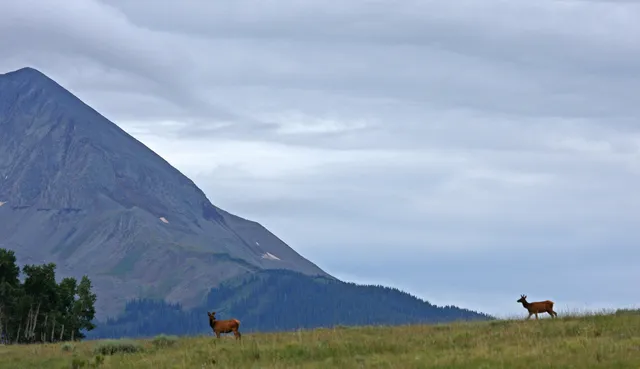 $13,500,000 | 2728 Sound Of Music Lane, Placerville, CO 81430