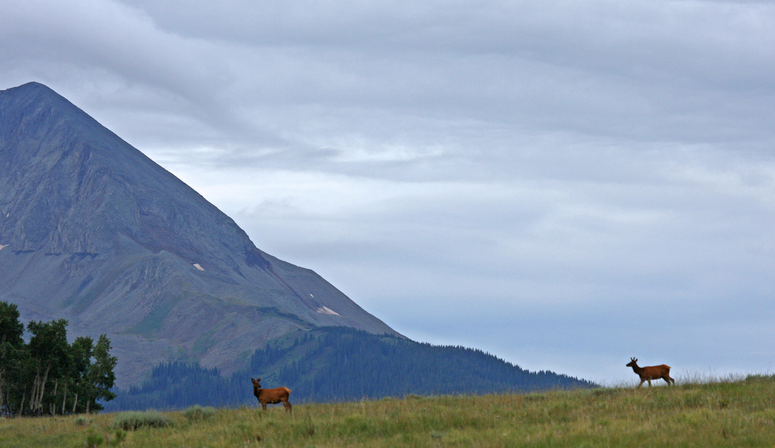 2728 Sound Of Music Lane Placerville, CO 81430 - Photo 14 of 28 Elk on the Ridge